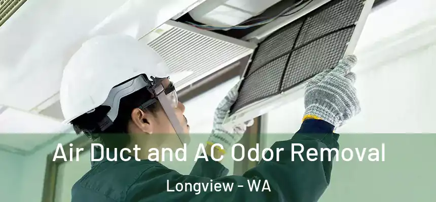 Air Duct and AC Odor Removal Longview - WA