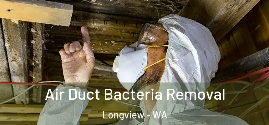  Air Duct Bacteria Removal Longview - WA