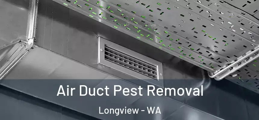 Air Duct Pest Removal Longview - WA