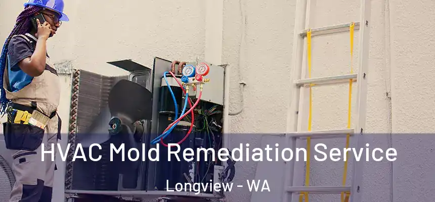 HVAC Mold Remediation Service Longview - WA