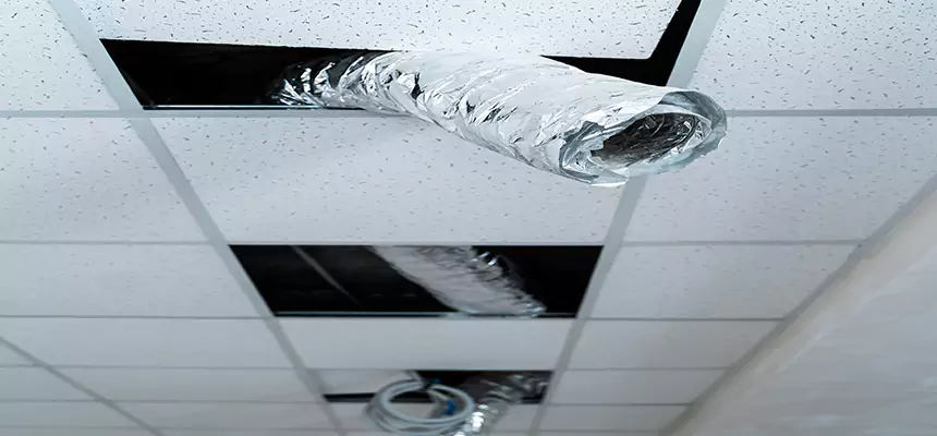 Our Air Duct Pet Hair Removal Services in Longview, WA