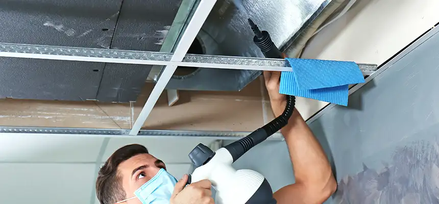 Our Air Duct Rodent Removal Services in Longview, WA