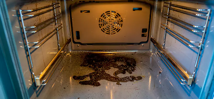 Our Dryer Vent Mold Cleaning Services in Longview, WA