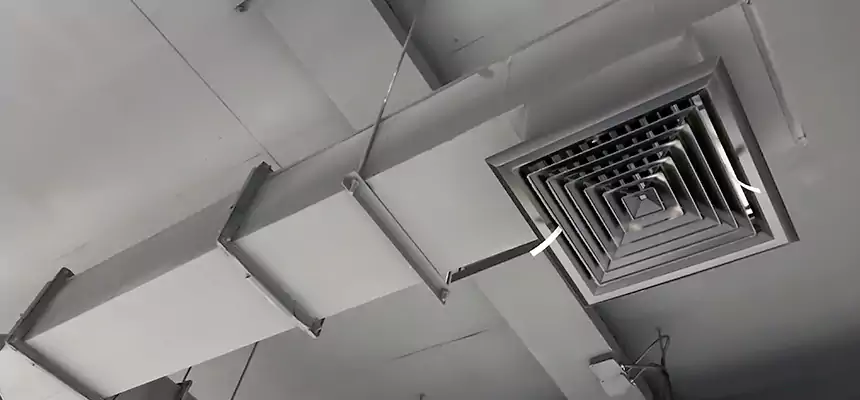 Our Rodent Droppings In Vents Services in Longview, WA