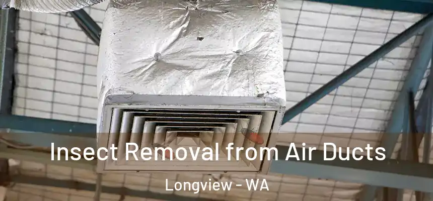  Insect Removal from Air Ducts Longview - WA