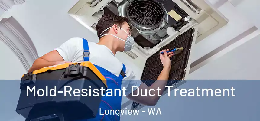  Mold-Resistant Duct Treatment Longview - WA