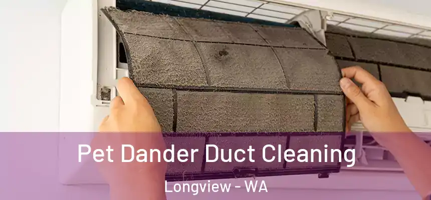  Pet Dander Duct Cleaning Longview - WA