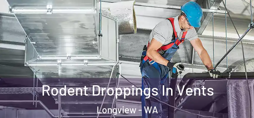 Rodent Droppings In Vents Longview - WA
