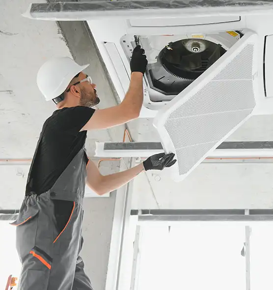 About Air Duct Rodent Removal in Longview, WA