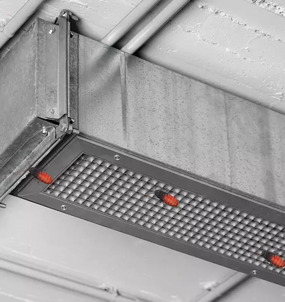 Affordable Insect Removal from Air Ducts in Longview, WA