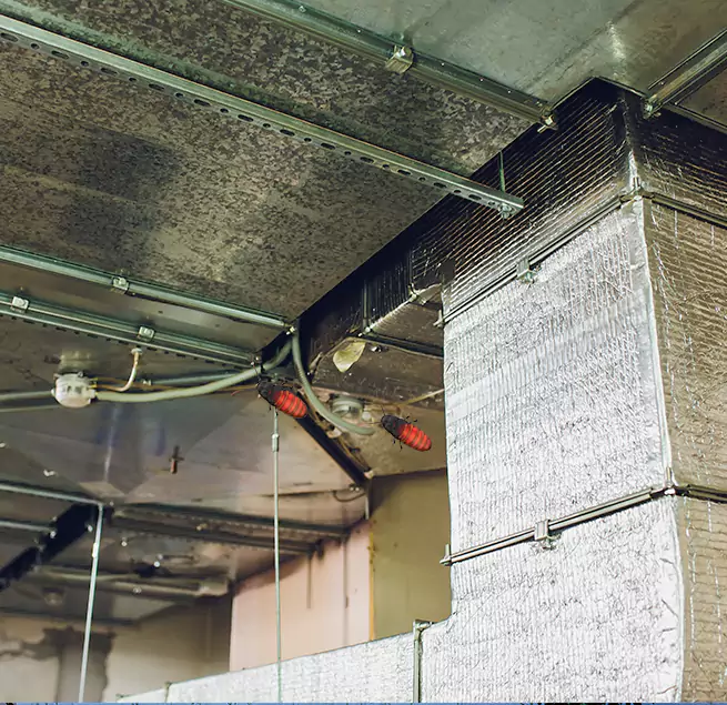 Why Homeowners & Businesses Trust Us in Longview, WA?