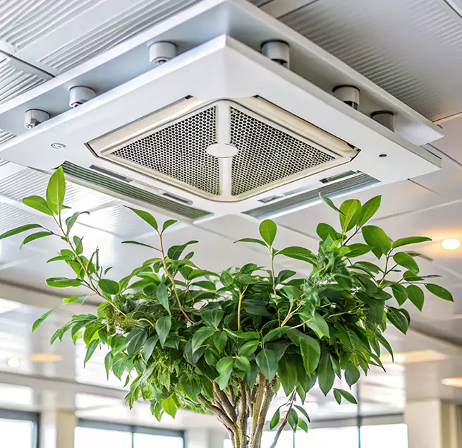 Why Homeowners & Businesses Trust Us in Longview, WA?