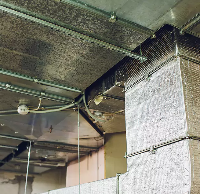 Why Homeowners & Businesses Trust Us in Longview, WA?